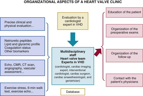 Valvular Heart Disease | Thoracic Key